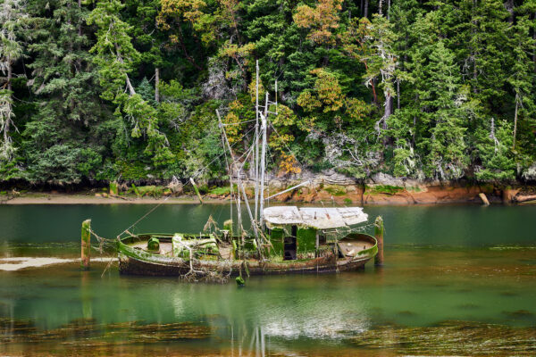 Scholfield Creek Shipwreck in Reedsport, Oregon.